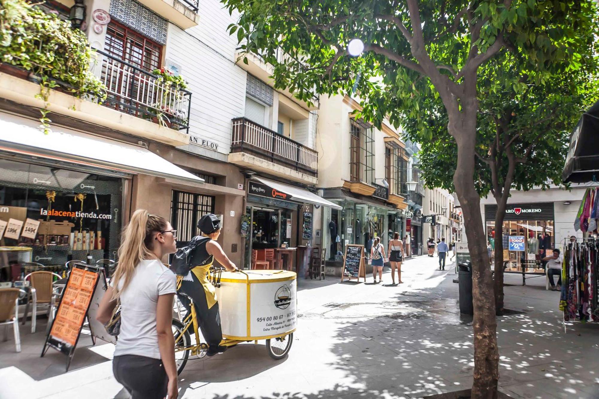 Apartment Estrella Giralda By Valcambre *
